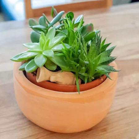 شقة Zwieselstein Near Slopes *